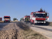 SDH Malšice: 